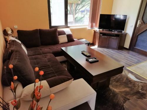 uma sala de estar com um sofá e uma mesa de centro em Guesthouse Vanessa em Oreshak