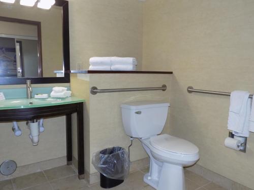 a bathroom with a toilet and a sink and a mirror at Rodeway Inn in Portage