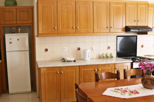 a kitchen with wooden cabinets and a white refrigerator at Entire large house Apollon in Voládha