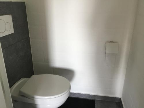 a bathroom with a white toilet and a roll of toilet paper at Hoeve Ten Rooden Duifhuize in Sint-Denijs