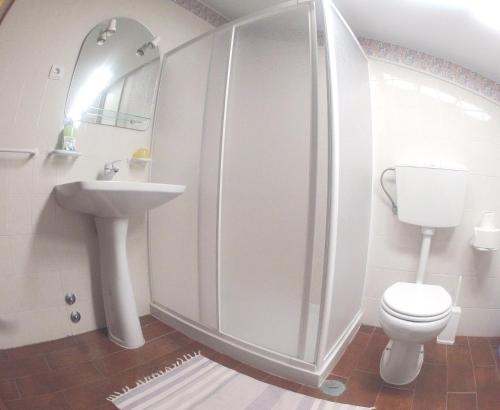 a bathroom with a shower and a toilet and a sink at Alojamento Local Céu-Azul in Porto de Mós