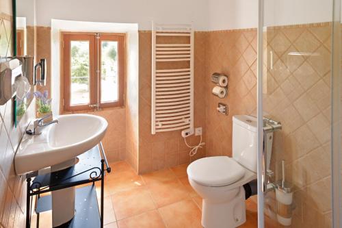 a bathroom with a white toilet and a sink at Agroturismo Fincahotel Son Pou in Felanitx