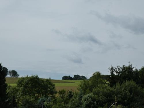 a field with trees and a cloudy sky at Ferienwohnung WällerAuszeit in Nisterau