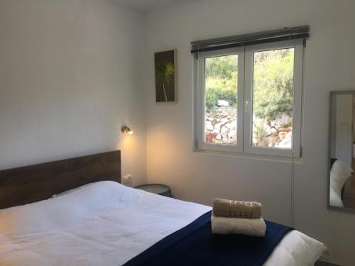 RIVA Seafront holiday apartments