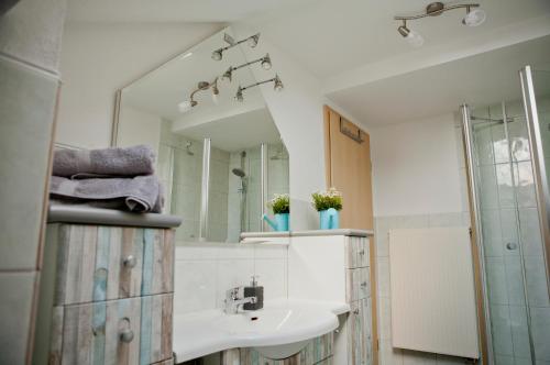 a bathroom with a sink and a mirror at Haus Weinbergblick in Haigerloch