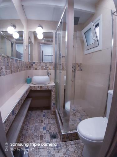 a bathroom with a sink and a shower and a toilet at Cosy and central stoudio in Thessaloniki