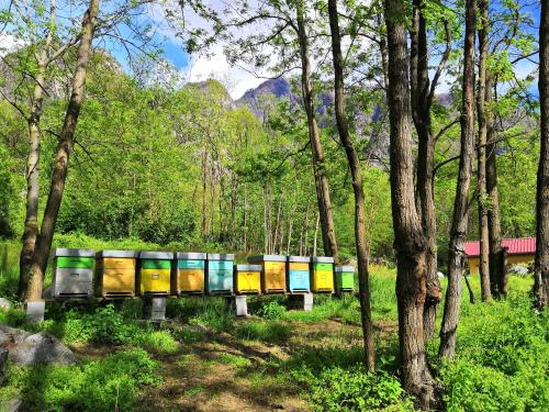 a row of colorful containers in a forest of trees at Agriturismo Val Codera in Verceia