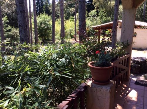 Les Jardins – Photos 5