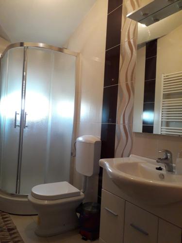 a bathroom with a shower and a toilet and a sink at Spirit in Međugorje