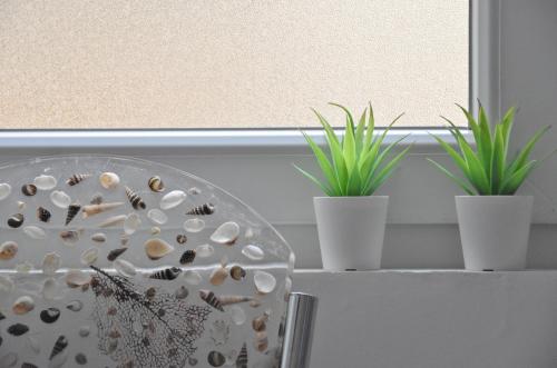 een glazen kom gevuld met schelpen en planten voor een raam bij Short Stay Studio in Thessaloniki