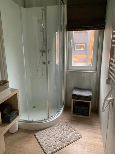 a bathroom with a shower and a rug at Mobilheim Murnersee Haus 5 in Wackersdorf
