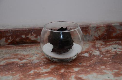 Nostra Demora – Photos 2