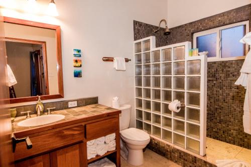 a bathroom with a sink and a toilet and a shower at Indigo Belize 1B Condo in San Pedro
