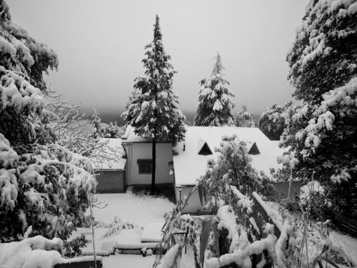 a house covered in snow with two christmas trees at Mary Budden Estate in Almora
