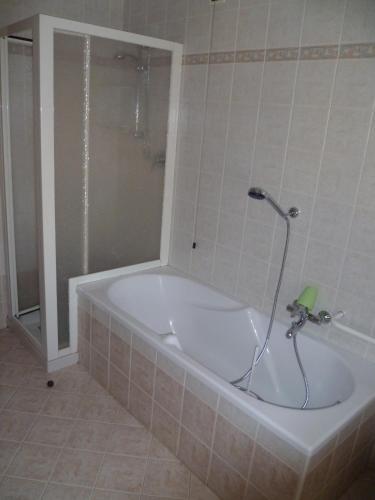 a bath tub with a shower in a bathroom at Ca dei Logi di Giancarlo Cetto in Levico Terme