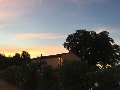 Φωτογραφία από το άλμπουμ του Agriturismo Pieve de Pitti σε Terricciola
