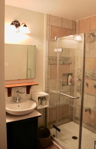 a bathroom with a sink and a shower at Les Petits Trésors in Coaticook
