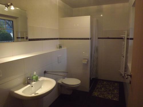 W łazience znajduje się umywalka, toaleta i prysznic. w obiekcie Ferienhaus bei Familie Gau in Schaprode (Ortsteil Poggenhof) w mieście Schaprode