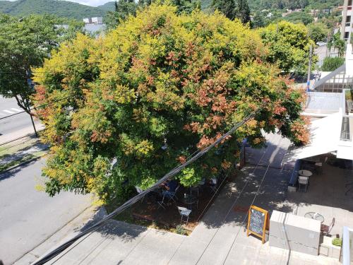 an overhead view of a large tree on a street at Deluxe Reyes Católicos in Salta