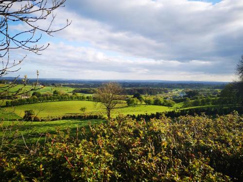 Alice's Cottage – Photos 3