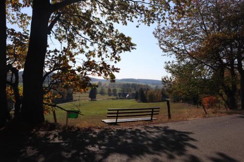 a park bench sitting on the side of a road at Die gemütliche Ferienwohnung für jedermann! in Oppach