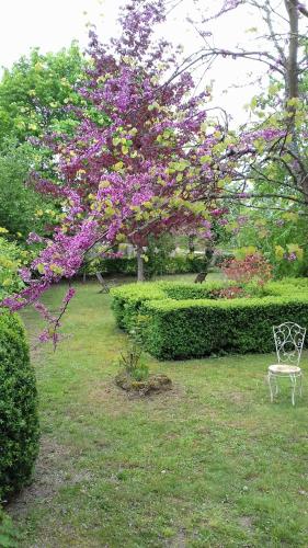 a garden area with flowers and a bench at Manoir de la Chapelle in Condé-sur-Sarthe