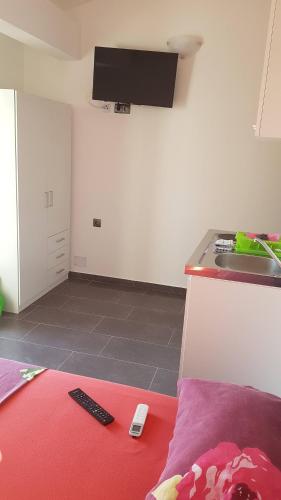 Μια τηλεόραση ή/και κέντρο ψυχαγωγίας στο Apartments STAR with Pool