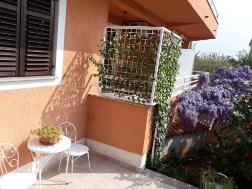Apartmani Lina – Photos 2