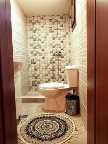 a bathroom with a toilet and a shower at Dimitra's Garden Villa in Kallirákhi