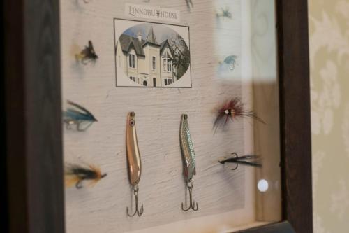 a wall with some different types of fish on it at Linndhu House in Tobermory