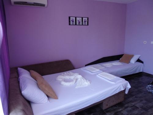 two beds in a room with purple walls at Studio-Pomorie in Pomorie
