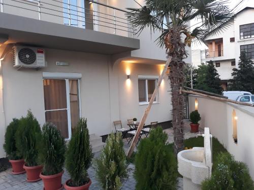a house with a palm tree in front of it at Vila & Apartments MATEA in Gevgelija