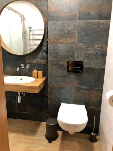 a bathroom with a sink and a toilet and a mirror at Kaktuss apartamenti Smiltene in Smiltene