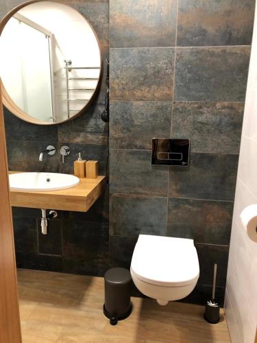 ein Badezimmer mit einem Waschbecken, einem WC und einem Spiegel in der Unterkunft Kaktuss apartamenti Smiltene in Smiltene