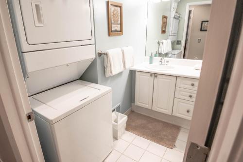 ein Badezimmer mit einem Waschbecken, einer Waschmaschine und einem Trockner in der Unterkunft Secluded Harbor Springs Condo in Harbor Springs