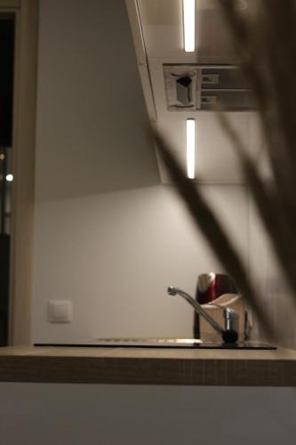 Dapur atau dapur kecil di Pušelė