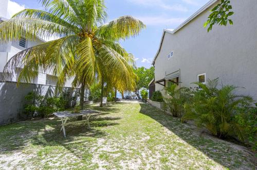 a palm tree sitting next to a building with a bench at La Case Creole in Roches Noires