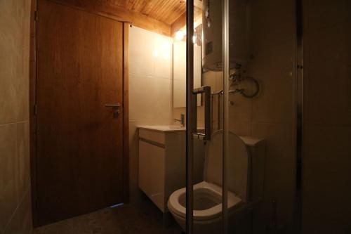 a bathroom with a toilet and a glass door at Quinta do Castro Wood House in Marco de Canavezes