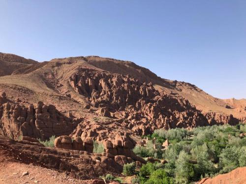 a mountain with rocks and trees in the foreground at Miguirne Chez Ali in Tamellalt