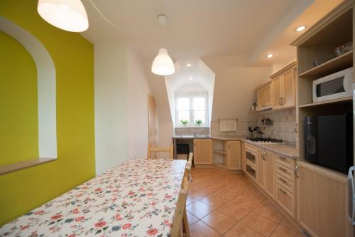 a kitchen with a long table in a room at Ubytování Merlot in Mikulov