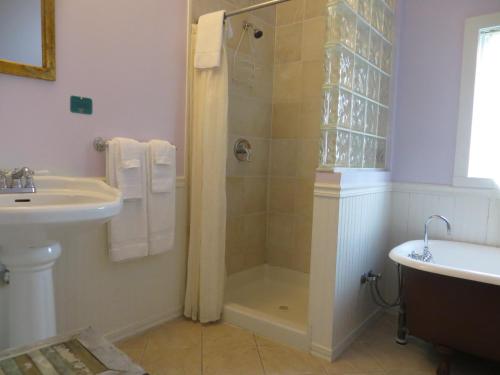 a bathroom with a shower and a sink at Creole Gardens Guesthouse and Inn in New Orleans