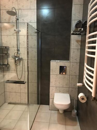 a bathroom with a toilet and a glass shower at Jaworowy Dom in Solina