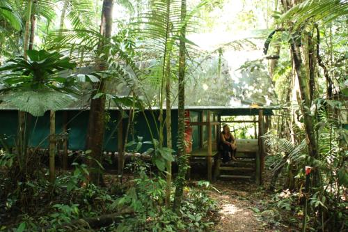 a person sitting in a cabin in the jungle at Daintree Crocodylus in Cow Bay