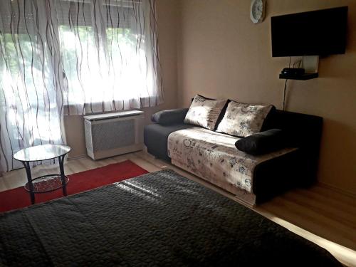 sala de estar con sofá y ventana en Centrum apartman, en Szolnok