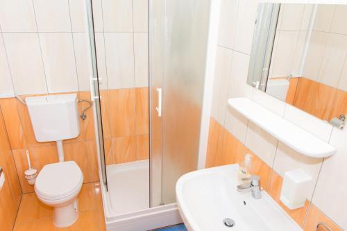 a bathroom with a shower and a toilet and a sink at Apartma Murania in Lendava