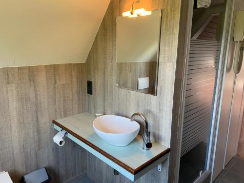 a bathroom with a sink and a mirror at B&B Decoster in Zuienkerke