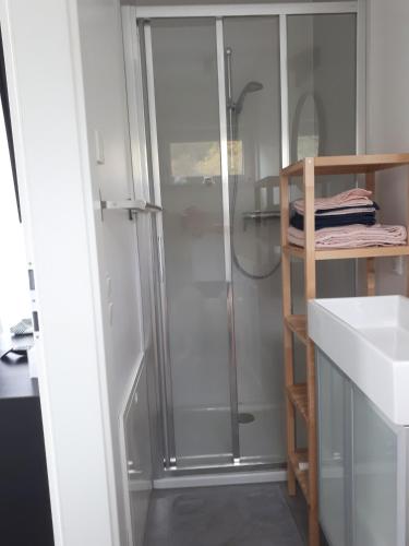 a shower with a glass door in a bathroom at Appartement Hareter in Neusiedl am See