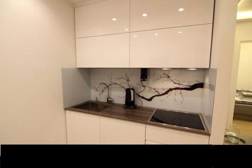 Kuchyň nebo kuchyňský kout v ubytování Apartman Oslo