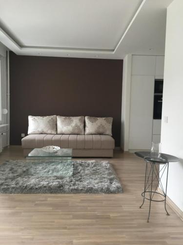 Et opholdsområde på Apartman Oslo