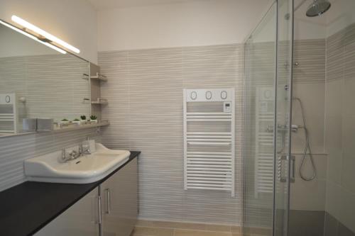 a bathroom with a sink and a shower at Chambre d'hôtes à TOUL centre ville avec parking privé in Toul